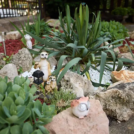 Elek Garden *